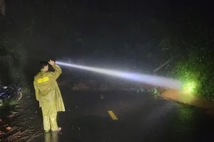 Lâm Đồng: Đèo Gia Bắc sạt lở nhiều điểm, cấm phương tiện lưu thông