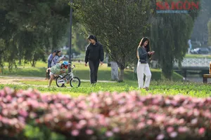 Đà Lạt thông thoáng trong ngày đầu năm mới 2026