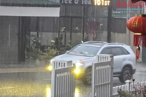 Lâm Đồng xuất hiện “mưa vàng” trên diện rộng