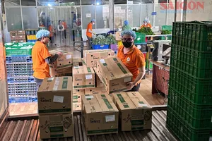 Lâm Đồng: Tăng cường liên kết chuỗi sản xuất, chế biến, cung ứng nông sản 