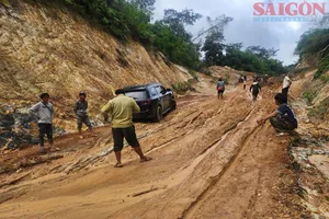 Lâm Đồng: Đầu tư đường vào tiểu khu 179 để phát triển vùng biệt lập
