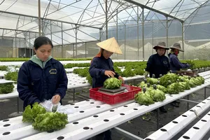 Nông sản Lâm Đồng có mặt ở nhiều thị trường quốc tế nhờ mã số vùng trồng lớn
