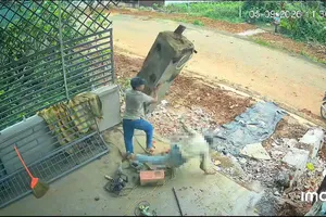 Hiện trường vụ việc