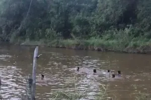 Thêm 2 học sinh nữ tại Khánh Hòa đuối nước 