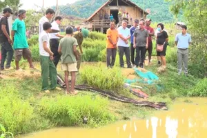 Tắm hố sâu, 4 trẻ trong một gia đình tử vong