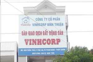 Ninh Thuận “tuýt còi” doanh nghiệp phân lô bán nền tự phát