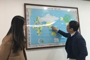 Thời tiết năm nay thích hợp để du xuân