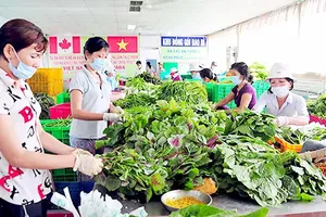 Điểm sơ chế rau của HTX Phước An, huyện Bình Chánh, TPHCM