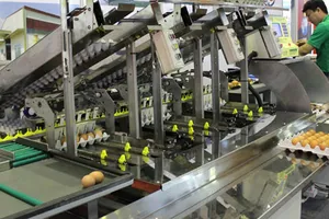 Triển lãm lớn nhất về công nghệ cho chăn nuôi và thuỷ sản