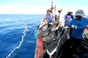 Để tránh rào cản xuất khẩu, khai thác hải sản cần có nguồn gốc hợp pháp. Ảnh: VNE