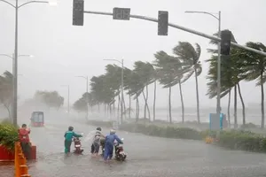 Năm nay có 10-12 cơn bão, xâm mặn và hạn hán sẽ kéo dài