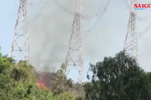 Đường dây 500kV Bắc Nam đã được đóng lại, không bị ảnh hưởng cháy rừng