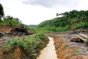 19 người chết và mất tích, khẩn cấp cứu đê biển Cà Mau