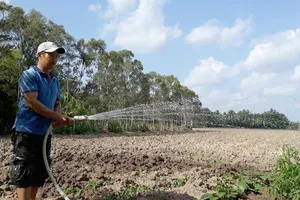 Cảnh báo “đại hạn”, có thể dùng xe quân đội chở nước đến từng gia đình