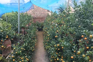 Thời tiết từ nay đến 10-1 sẽ như thế nào?