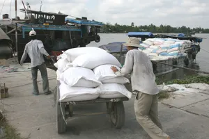 Ngăn chặn, xử lý nghiêm nạn buôn lậu khẩu trang và gạo qua biên giới