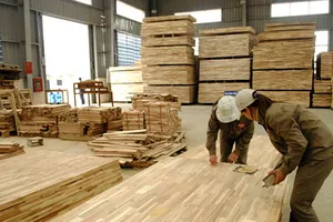 Chế biến ván gỗ cao su. Ảnh minh họa: Báo Gia Lai