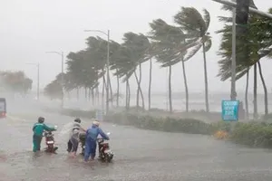 Bão số 7 chưa tan, bão số 8 đã hình thành trên Biển Đông