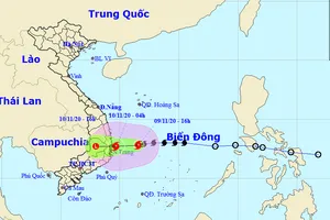 Dự trữ lương thực, có thể cắt điện để phòng chống bão số 12 và 13