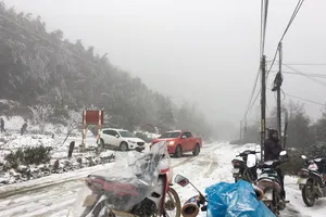 Miền Bắc, miền Trung lại sắp hứng đợt băng giá mới