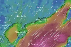 Bão đang giật cấp 17 ở Song Tử Tây