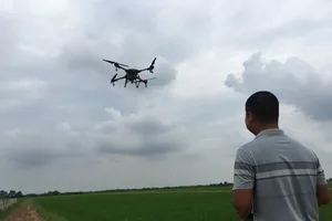 Ban hành tiêu chuẩn cho “máy bay” phun thuốc trên đồng ruộng