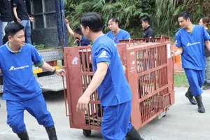 Cứu hộ 5 gấu ngựa bị nuôi nhốt hơn 20 năm tại làng Phụng Thượng