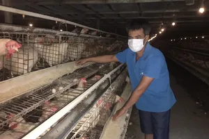 Bộ NN-PTNT nói gì về thịt ngoại ồ ạt vào Việt Nam?