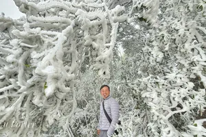 Clip lạc giữa rừng băng đẹp như cổ tích ở Mù Cang Chải 