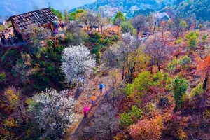 Chuyên gia khí tượng: Từ ngày 3-3, miền Bắc ấm dần, miền Trung nắng nóng