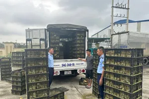 Có dấu hiệu nhập trứng gia cầm… sắp nở để lách luật