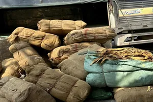 Bắt giữ gần 3 tấn lá thuốc lá sấy khô nhập lậu