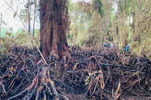 Áp thấp nóng xuất hiện, Bắc bộ và Trung bộ nắng nóng