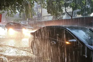 Bộ Nông nghiệp và Môi trường đề nghị ứng phó với đợt mưa lớn