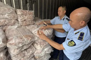 Thu giữ hơn 1,5 tấn chân gà đông lạnh tại Lào Cai