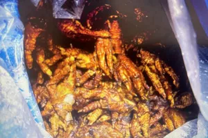 Phát hiện 8 tấn chân gà đông lạnh và hơn 1 tấn heo chết không rõ nguồn gốc