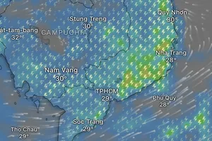 Dự báo hôm nay, 5-6, TPHCM tiếp tục có mưa dông
