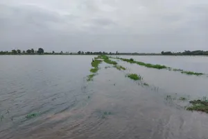 Bão số 1 gây ngập hơn 58.000ha lúa, hoa màu ở miền Trung