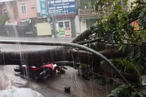 Miền Bắc: Bão chưa vào, trời đã tối sầm, dông lốc và mưa đá