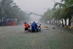 Nhiễu thông tin về bão số 3: Cơ quan khí tượng khẳng định bão chưa tan