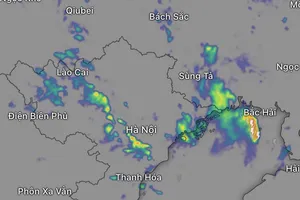 Dự báo miền Bắc và Bắc Trung bộ tiếp tục mưa to đến ngày 25-7