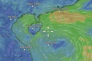 Còn 6 đến 7 cơn bão trên Biển Đông, rét đậm từ tháng 11
