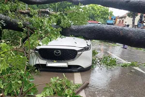 Chuyên gia cảnh báo: Phía Bắc mưa lớn kéo hết tháng