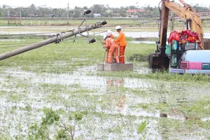 Đã khôi phục điện cho hơn 70% khách hàng bị ảnh hưởng bão số 5