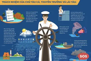 Ngư dân cần ứng phó như thế nào với bão Bualoi?