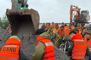 Công an tỉnh Ninh Bình huy động lực lượng tham gia hỗ trợ gia cố đê kè sông biển ở phía Đông Nam tỉnh Ninh Bình