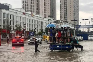 Cơ quan khí tượng chỉ cung cấp dữ liệu, còn quyết định hành động thuộc cơ quan quản lý chuyên ngành