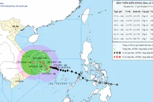 Không có tàu thuyền ở trong khu vực nguy hiểm của bão số 15