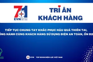 EVN triển khai tháng tri ân khách hàng năm 2025