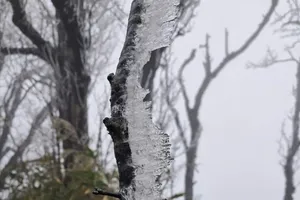 Miền Bắc rét buốt, hàng loạt nơi dưới 10 độ C